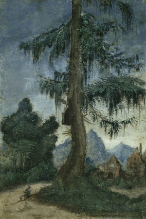 Landscape with spruce by Albrecht Altdorfer Oil Painting