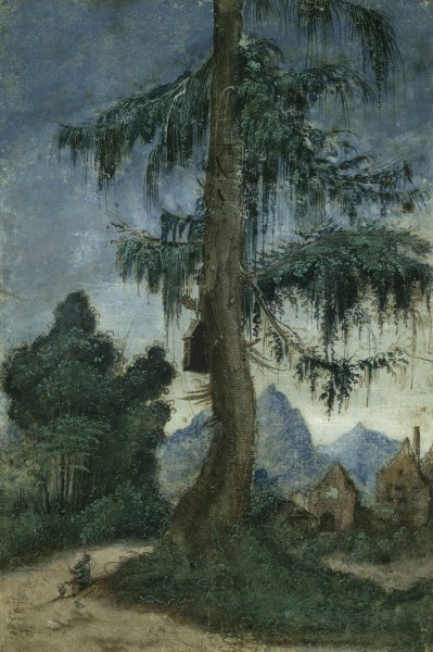 Landscape with spruce  by Albrecht Altdorfer - Hand-Painted Oil Painting Reproduction