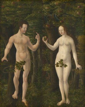 The Fall of Man by Albrecht Altdorfer Oil Painting