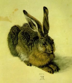 A Young Hare painting by Albrecht Duerer