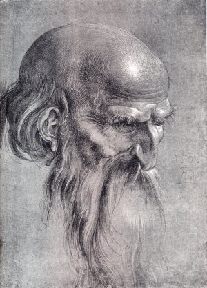 Head Of An Apostle Looking Downward Oil painting by Albrecht Duerer