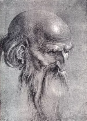 Head Of An Apostle Looking Downward Oil painting by Albrecht Duerer