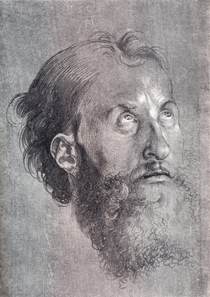 Head Of An Apostle Looking Upward by Albrecht Duerer Oil Painting