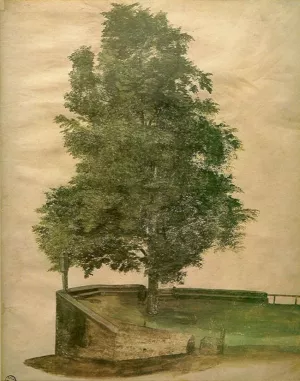 Linden Tree on a Bastion by Albrecht Duerer - Oil Painting Reproduction