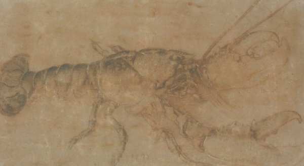 Lobster by Albrecht Duerer - Hand-Painted Oil Painting Reproduction
