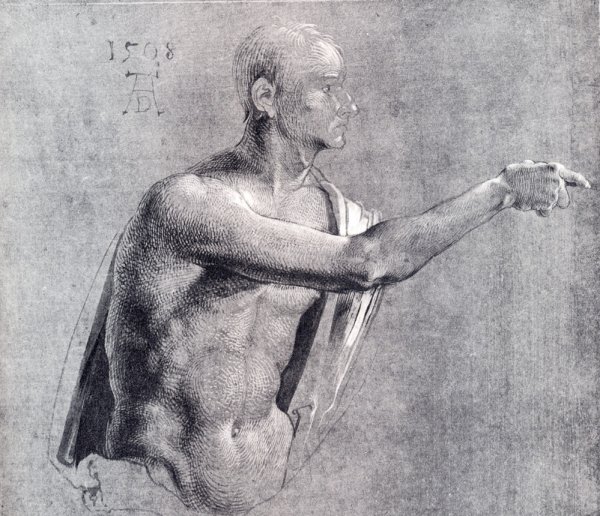Main Product Photo of Male Nude, Half Length Painting by Albrecht Duerer