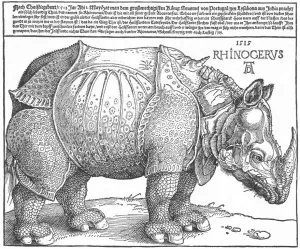 Rhinocerus painting by Albrecht Duerer
