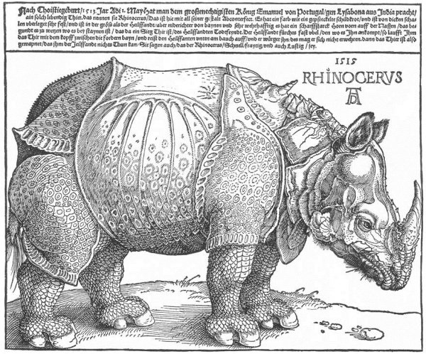 Rhinocerus by Albrecht Duerer - Hand-Painted Oil Painting Reproduction