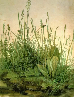 The Large Turf Oil painting by Albrecht Duerer