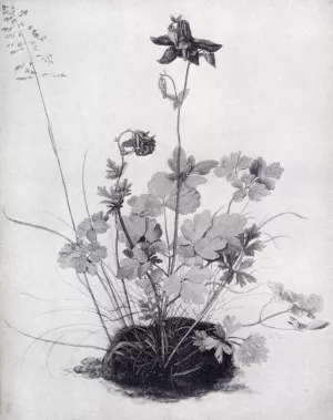 The Piece of Turf with the Columbine by Albrecht Duerer Oil Painting
