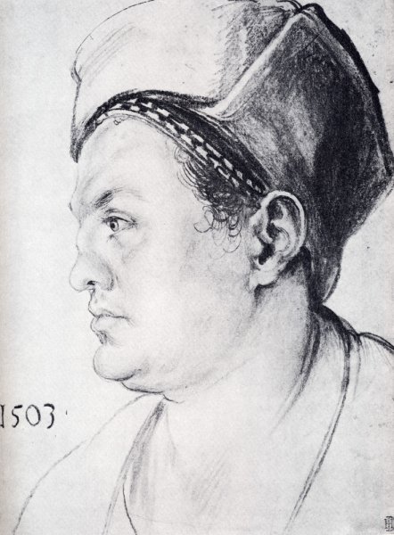 Main Product Photo of Willibald Pirkheimer 2 Painting by Albrecht Duerer