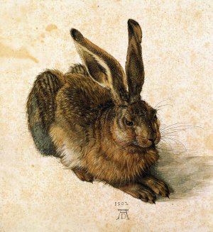 Young Hare by Albrecht Duerer Oil Painting
