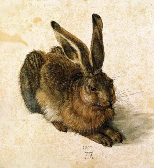 Young Hare by Albrecht Duerer - Oil Painting Reproduction