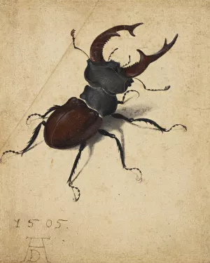 Stag Beetle by Albrecht Durer Oil Painting
