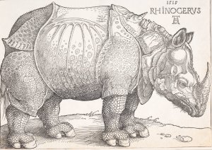 The rhinoceros by Albrecht Durer Oil Painting