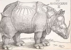 The rhinoceros by Albrecht Durer Oil Painting