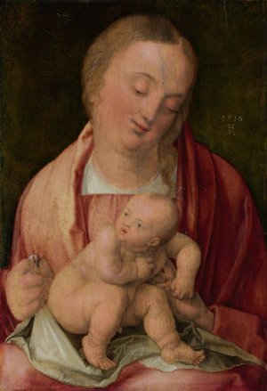 Virgin and Child by Albrecht Durer Oil Painting