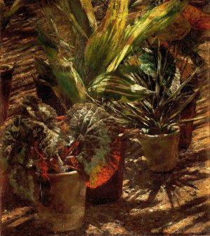 Begonias by Aleksander Gierymski Oil Painting
