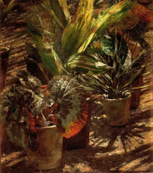 Begonias by Aleksander Gierymski Oil Painting