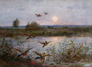 Ducks over Marshes by Aleksander Mroczkowski Oil Painting