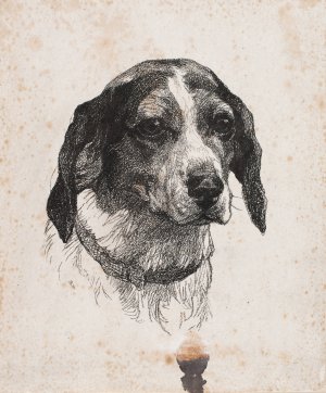 Et hundehoved by Alexander Blom Oil Painting