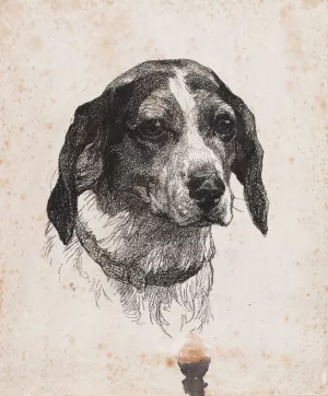 Et hundehoved by Alexander Blom Oil Painting