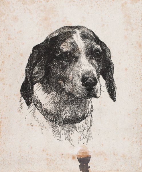 Et hundehoved  by Alexander Blom - Hand-Painted Oil Painting Reproduction