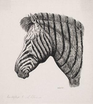 Hoved af en Zebra by Alexander Blom Oil Painting