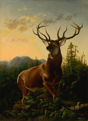 Deer in Forest Landscape by Alexander Brodszky Oil Painting