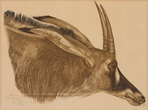 Antilope Hippotrague by Alexander Evgenievich Yakovlev Oil Painting