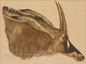 Antilope Hippotrague by Alexander Evgenievich Yakovlev Oil Painting