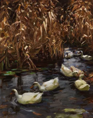 Acht Enten im Herbstschilf by Alexander Koester Oil Painting