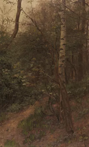 Birken am Waldrand by Alexander Koester Oil Painting