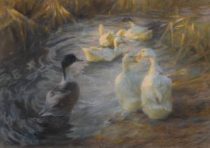 Ducks Among Reeds In A Pond by Alexander Koester Oil Painting