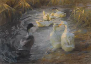 Ducks Among Reeds In A Pond by Alexander Koester Oil Painting