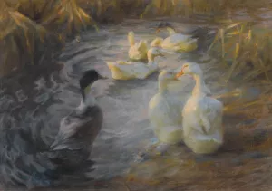 Ducks among reeds in a pond by Alexander Koester Oil Painting
