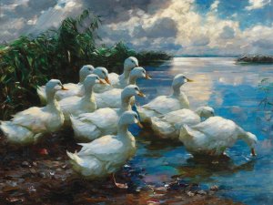 Ducks by a lake by Alexander Koester Oil Painting