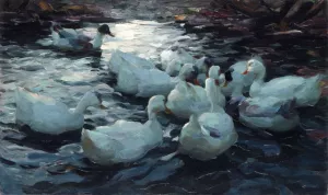 Ducks Feeding Oil painting by Alexander Koester