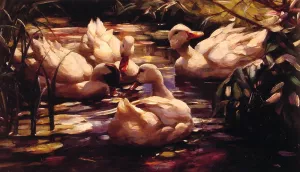 Ducks in a Forest Pond by Alexander Koester Oil Painting