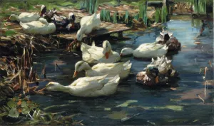 Ducks in a Quiet Pool by Alexander Koester - Oil Painting Reproduction