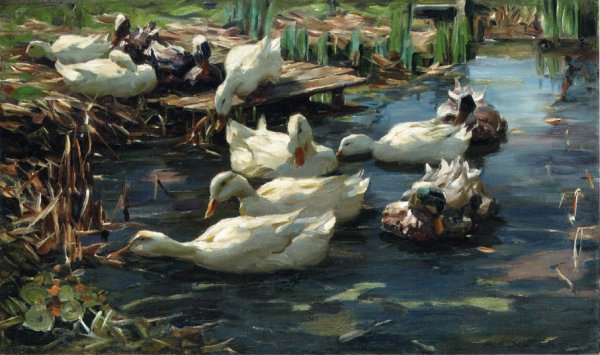 Main Product Photo of Ducks in a Quiet Pool Painting by Alexander Koester