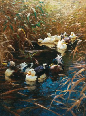 Ducks in autumn reeds by Alexander Koester Oil Painting