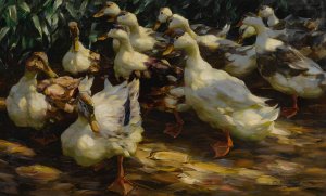 Ducks In Sunlight by Alexander Koester Oil Painting