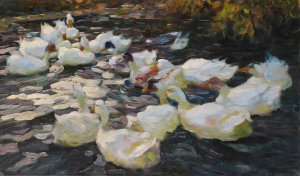 Ducks in the evening sun by Alexander Koester Oil Painting
