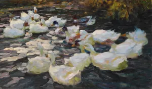 Ducks in the evening sun by Alexander Koester Oil Painting