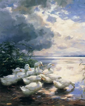 Ducks in the Morning by Alexander Koester - Oil Painting Reproduction