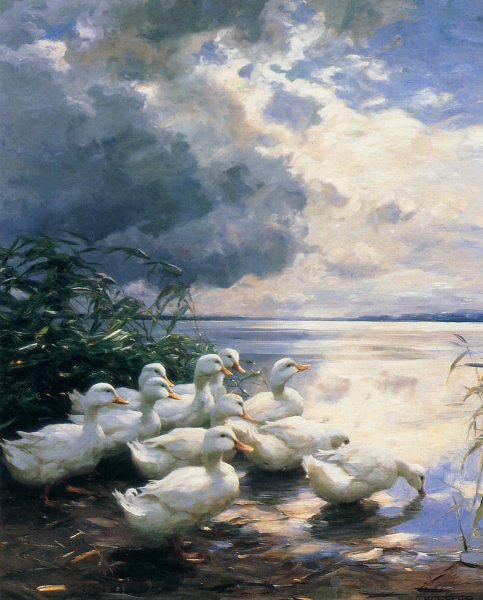 Main Product Photo of Ducks in the Morning Painting by Alexander Koester