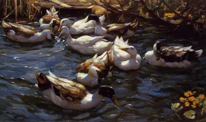 Ducks in the Reeds under the Boughs by Alexander Koester - Oil Painting Reproduction