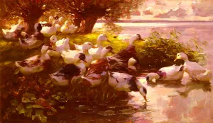 Ducks On A Lake by Alexander Koester Oil Painting