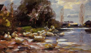 Ducks on a Riverbank on a Sunny Afternoon by Alexander Koester Oil Painting